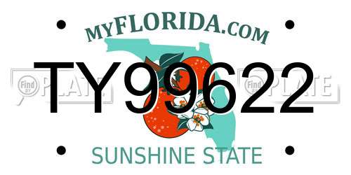 TY99622 Florida License Plate
