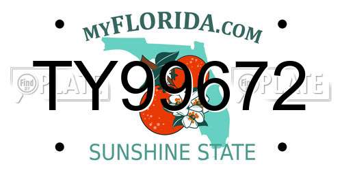 TY99672 Florida License Plate