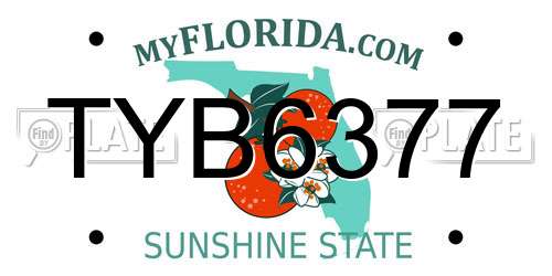 TYB6377 Florida License Plate
