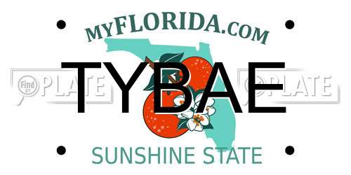 TYBAE Florida License Plate