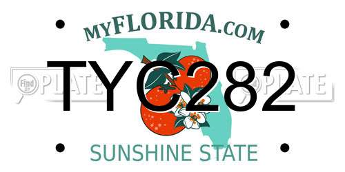 TYC282 Florida License Plate