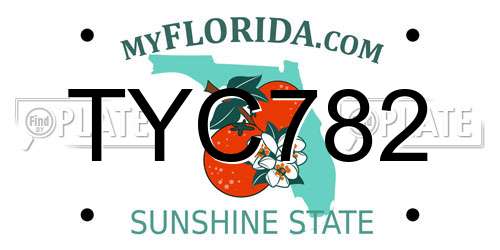 TYC782 Florida License Plate