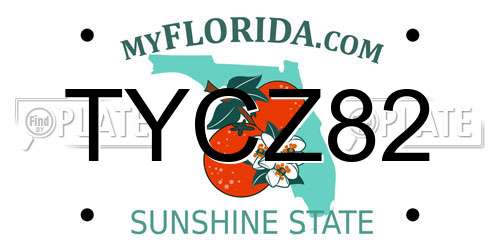 TYCZ82 Florida License Plate