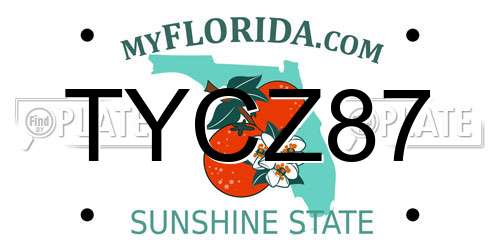 TYCZ87 Florida License Plate