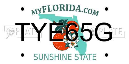 TYE65G Florida License Plate