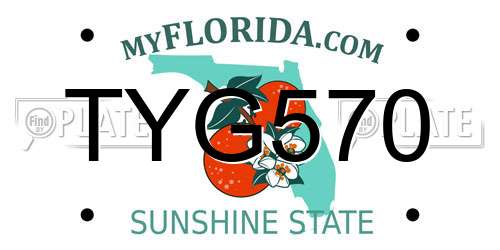 TYG570 Florida License Plate