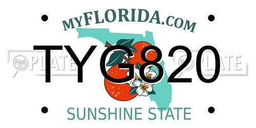 TYG820 Florida License Plate