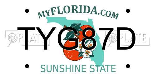 TYG87D Florida License Plate