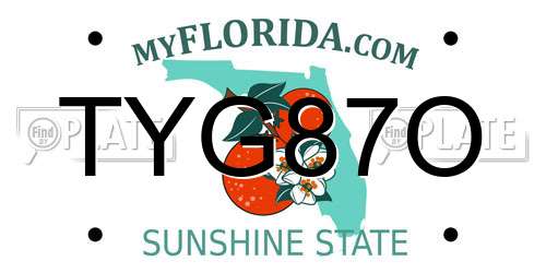 TYG87O Florida License Plate
