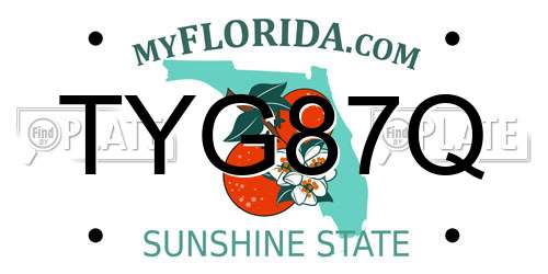 TYG87Q Florida License Plate