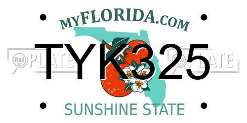 TYK325 Florida License Plate
