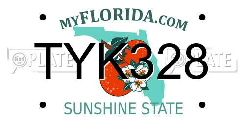 TYK328 Florida License Plate