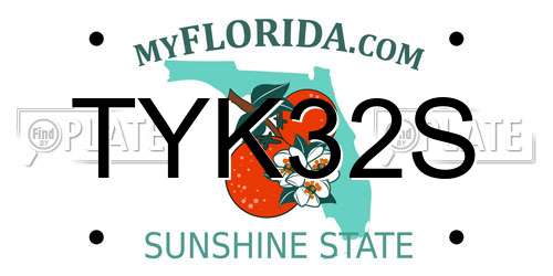 TYK32S Florida License Plate