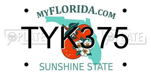 TYK375 Florida License Plate
