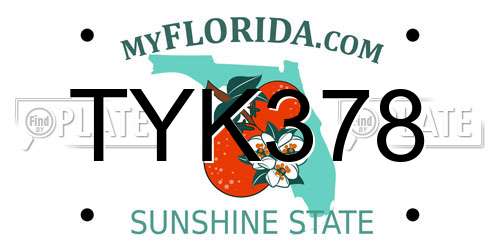 TYK378 Florida License Plate