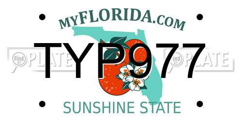 TYP977 Florida License Plate