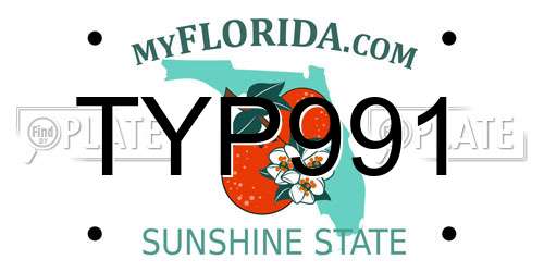 TYP991 Florida License Plate