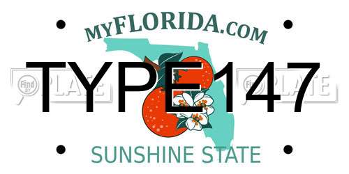 TYPE147 Florida License Plate