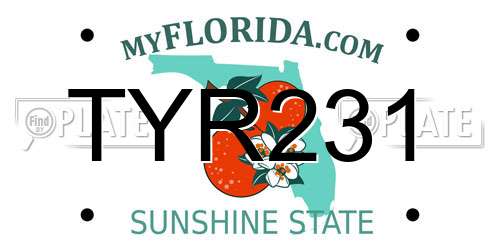 TYR231 Florida License Plate