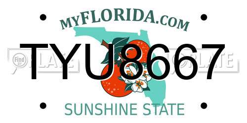TYU8667 Florida License Plate