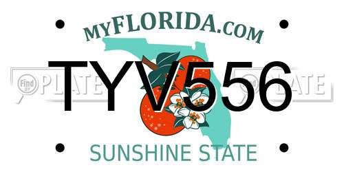 TYV556 Florida License Plate