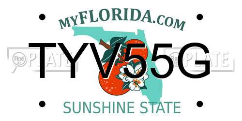TYV55G Florida License Plate