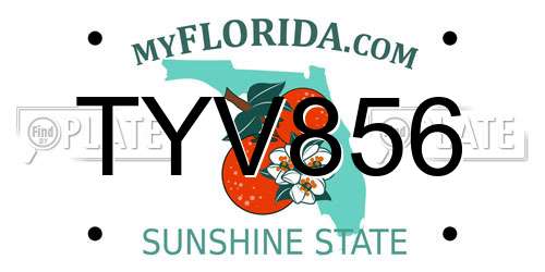 TYV856 Florida License Plate
