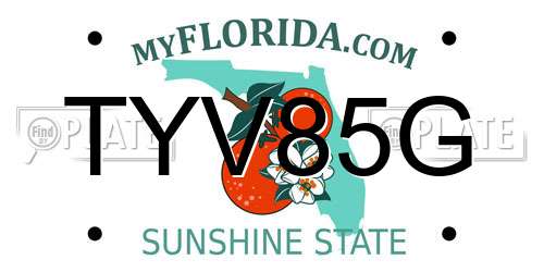 TYV85G Florida License Plate