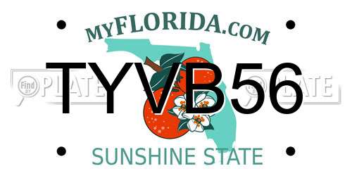TYVB56 Florida License Plate