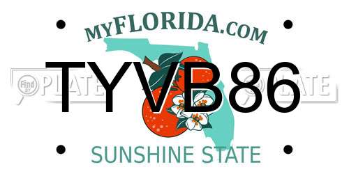TYVB86 Florida License Plate