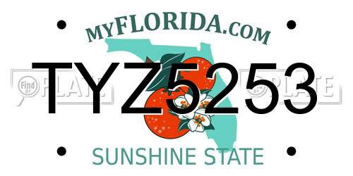 TYZ5253 Florida License Plate
