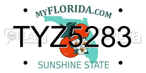TYZ5283 Florida License Plate