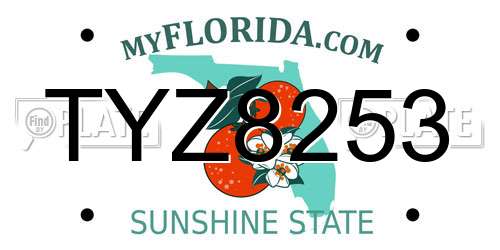 TYZ8253 Florida License Plate