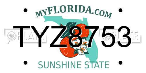 TYZ8753 Florida License Plate