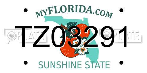 TZ03291 Florida License Plate