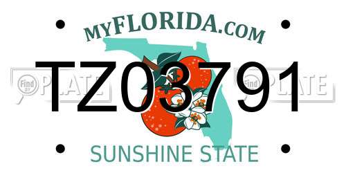 TZ03791 Florida License Plate
