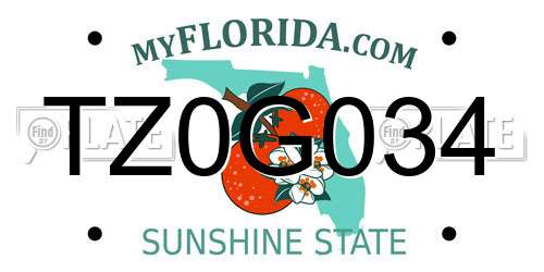 TZ0G034 Florida License Plate