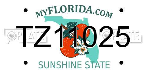 TZ11025 Florida License Plate