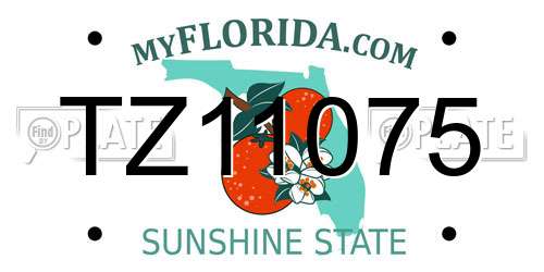 TZ11075 Florida License Plate