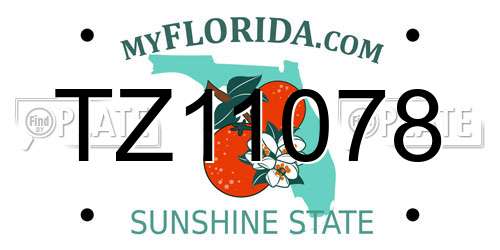 TZ11078 Florida License Plate