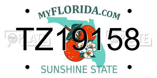 TZ19158 Florida License Plate
