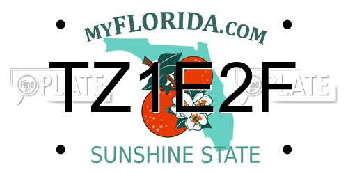 TZ1E2F Florida License Plate