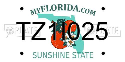 TZ1I025 Florida License Plate