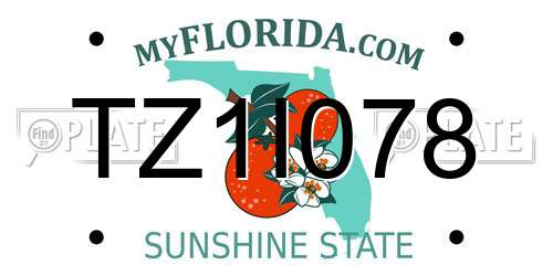 TZ1I078 Florida License Plate