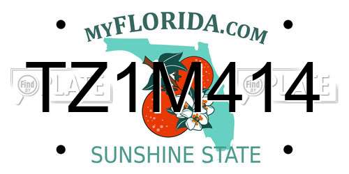 TZ1M414 Florida License Plate