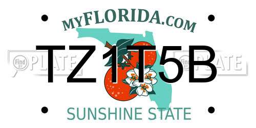 TZ1T5B Florida License Plate