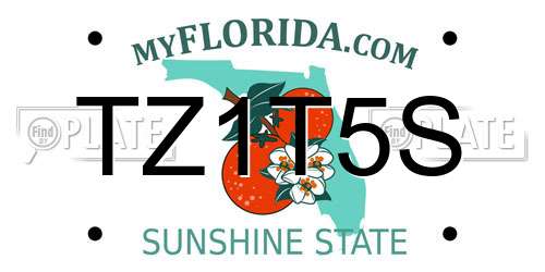 TZ1T5S Florida License Plate
