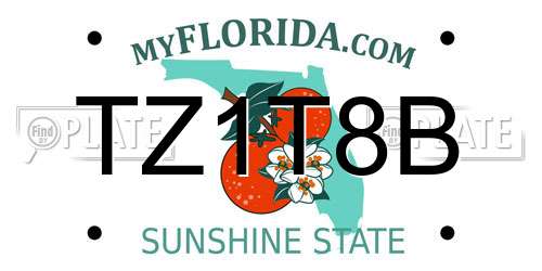 TZ1T8B Florida License Plate