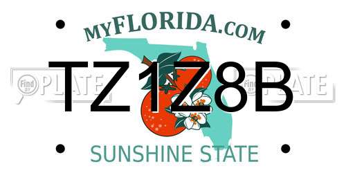 TZ1Z8B Florida License Plate