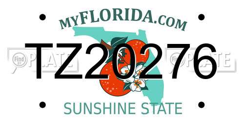 TZ20276 Florida License Plate
